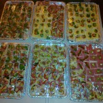 catering-organizasyon-4 | Davet Organizasyon