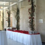 koktey_suslemeleri | Davet Organizasyon
